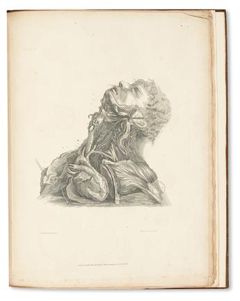 BELL, CHARLES, Sir. A Series of Engravings explaining the Course of the Nerves.  1803